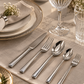 Signature Elite Stainless Steel Cutlery Set – 30 Pieces | Premium Silver Collection